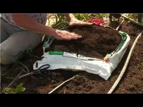 If you live in a cool climate. Growing Vegetables : How Do I Use Plastic Bags as a ...