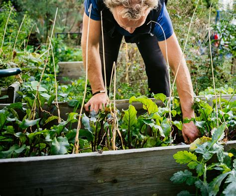 Your vegetable garden needs regular watering, especially when there is not a lot of rain in your area. The best vegetables to plant in your garden in February