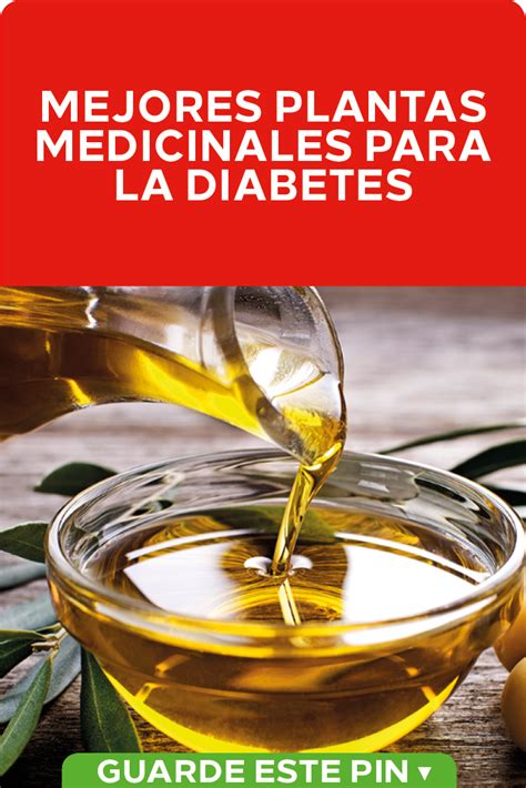 Las plantas ms aconsejables son las. Plantas medicinales para la diabetes Ciertas hierbas medicinales pueden ayudar a controlar los ...