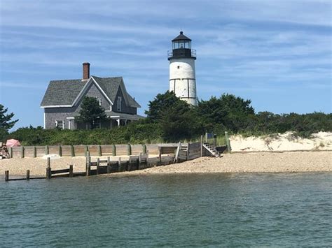 Barnstable Harbor Ecotours All You Need To Know Before You Go