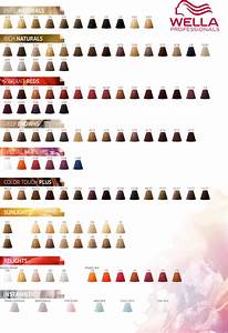 Wella Professionals Color Touch Color Chart 2017 Wella Hair Color