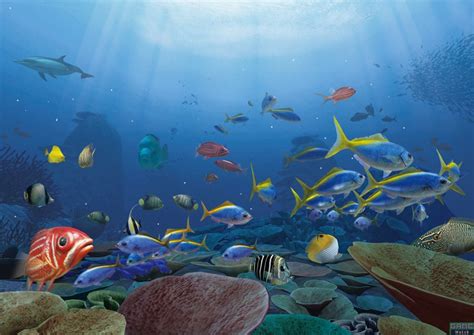 An Evening Under The Sea April 27 What To Do In Swfl