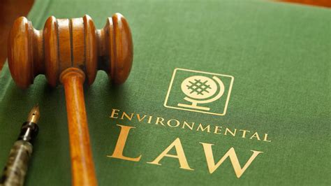 What Is Environmental Law Specializations Responsibilities And