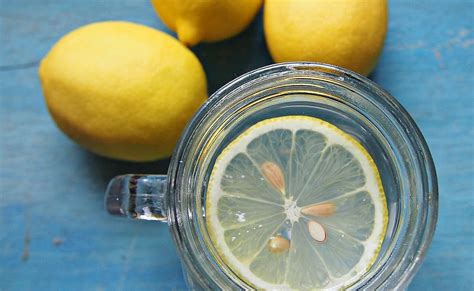 Resepi bagi membuat air lemon jus ini adalah perahan jus lemon segar, air sejuk, soda, garam (garam biasa atau garam batu) dan gula. Kebaikan Lemon Panas | EnyAbdullah.Com