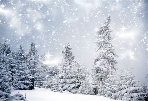 Buy Discount Kate Winter Snow Forest Backdrops For Photography Uk Kate