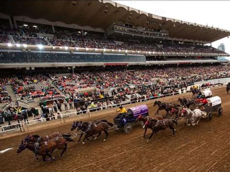Calgary Stampede Dont Miss This News