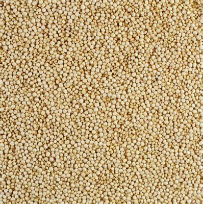 Quinoa Seeds At Rs Kilogram Organic Quinoa In Neemuch Id