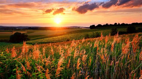 Hd Wallpaper Sunset Grass Slopes Hill Rolling Hills Evening 5k