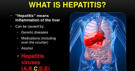 Hepatitis And Sexually Transmitted Diseases Explained