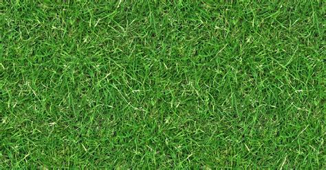 High Resolution Textures Grass 3 Seamless Turf Lawn Green Ground