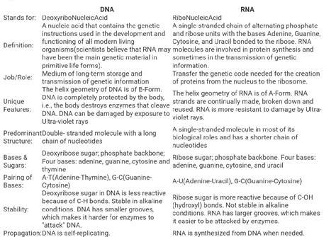 What Are The Functions Of Rna And Dna Science Cell Structure And