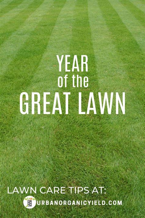 How To Take Care Of Your Lawn To Get The Best Lawn Ever In 2020 Lawn