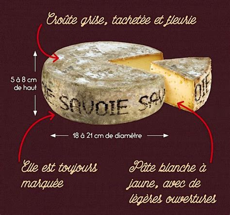 Tout Savoir Sur Notre Fromage Savoyard Tomme De Savoie Igp