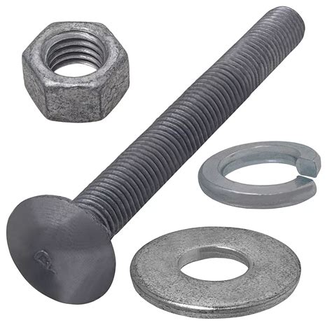 Paulin 12 Inch X 5 Inch Pro Pack Hot Dipped Galvanized Carriage Bolt
