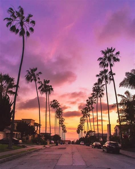 La Jolla, California | California palm trees, Sunset photos, Los ...