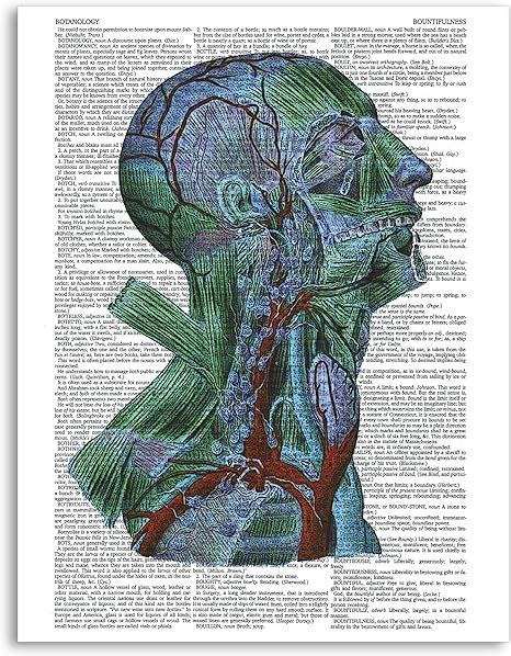 Psychedelic Anatomy 2 85x11 Home Wall Decor Dictionary