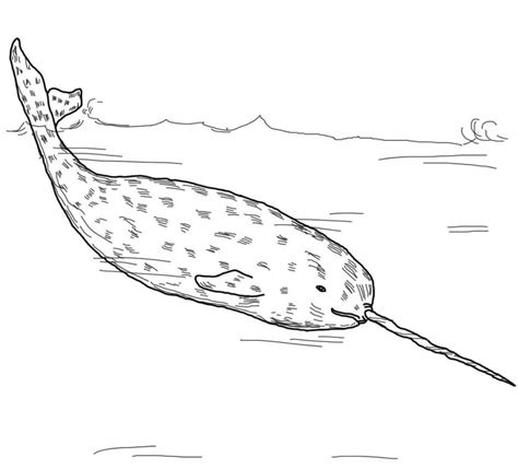 It lives all year round in the arctic waters around greenland, canada, and russia. Narwhal Coloring Pages - Best Coloring Pages For Kids