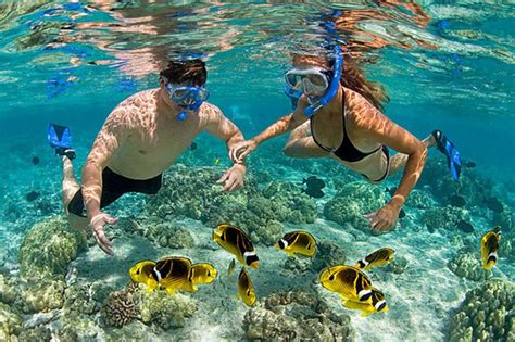 Son Tra Island Snorkeling Tour 12 Day Danang Tours And Travel