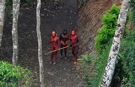 Terra Forming Terra New Uncontacted Tribe In Amazon