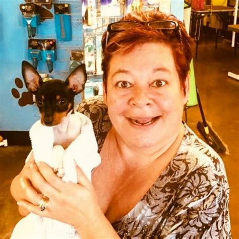 14 Incredible Facts About The Toy Fox Terrier Petpress