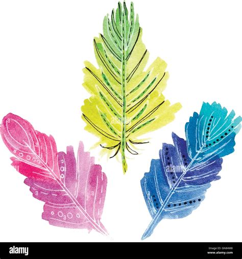 Set Of Three Watercolors Feathers Stock Vector Image And Art Alamy