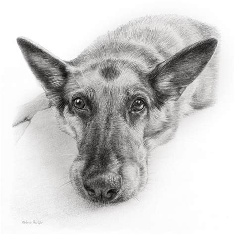 Latest Pet Portraits By Nicholas Beall And Melanie Phillips