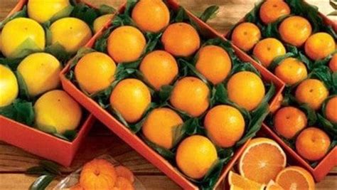 اختر بلداً الجزائر البحرين مصر الهند العراق الأردن الكويت لبنان ليبيا المغرب عمان باكستان قطر المملكة العربية السعودية سريلانكا تونس الإمارات العربية. البرتقال صنع الفارق.. كيف حكمت «مصر» سوق الموالح العالمي؟