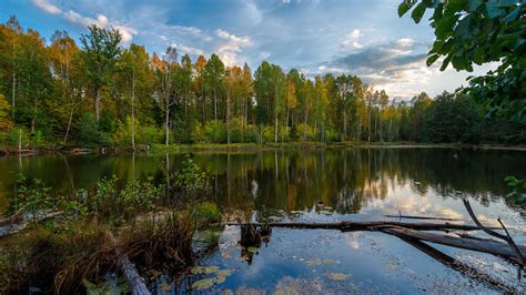 Forest Lake Landscape With Reflection Of Trees Hd Nature Wallpapers