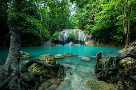Best National Parks In Thailand Khao Sok National Park Thailand