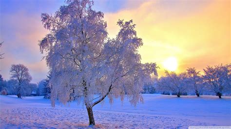 Colorful Winter Sunrise Wallpapers Wallpaper Cave