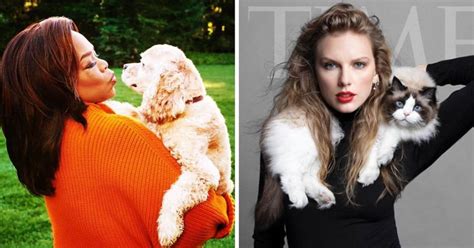 8 Richest Pets In The World From Taylor Swifts Cat Olivia Benson To