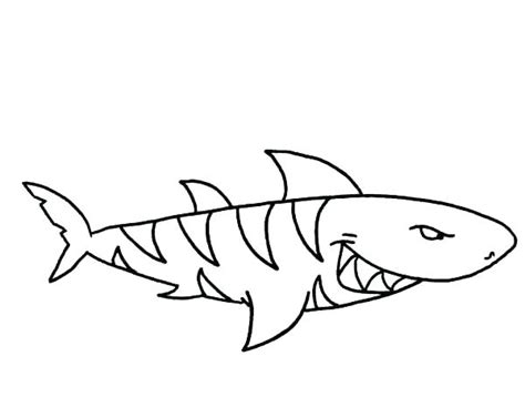 More images for realistic tiger shark coloring pages » Blue Shark Coloring Pages at GetDrawings | Free download