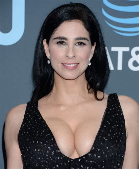 Sarah Silverman Bares Her Breasts On Twitter To Protest. 