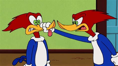 Woody Woodpecker Woody Clones Himself More Full Episodes Youtube