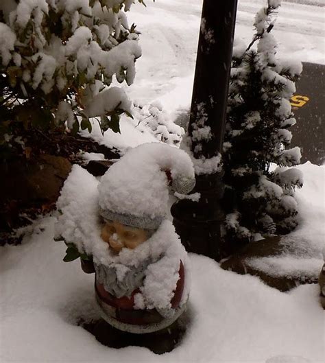 Christmas Gnome Covered In Snow Christmas Gnome Christmas Mini Garden