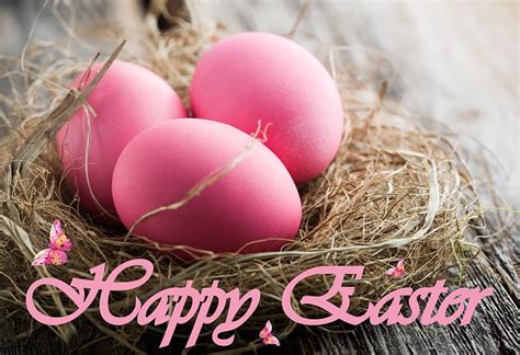happy easter easter pink happy easter eggs pink eggs egg happy pink egg hd wallpaper