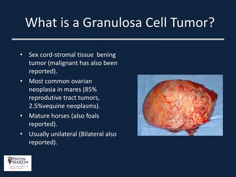 Ppt Laparoscopic Removal Of An Ovarian Granulosa Cell Tumor Powerpoint Presentation Id 709263