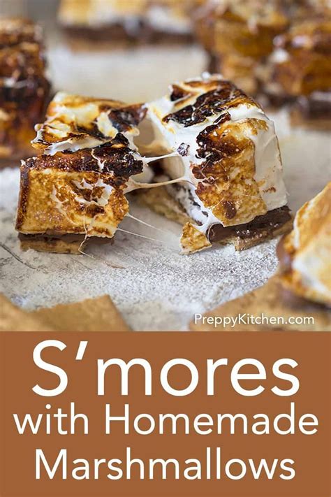 Ut enim ad minim veniam, quis nostrud exercitation ullamco laboris nisi ut aliquip ex ea commodo consequat. These s'mores from Preppy Kitchen are a classic summer ...