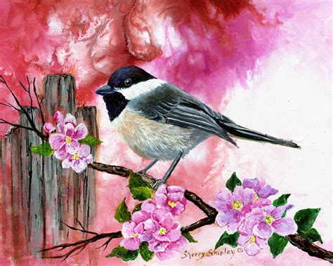 Chickadee With Apple Blossoms 8x10 Bird Print From Artist Sherry