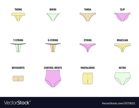 Types Panties For Women Royalty Free Vector Image