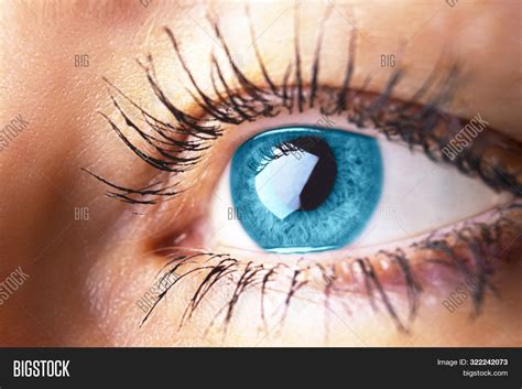 Beautiful Human Eye Image And Photo Free Trial Bigstock