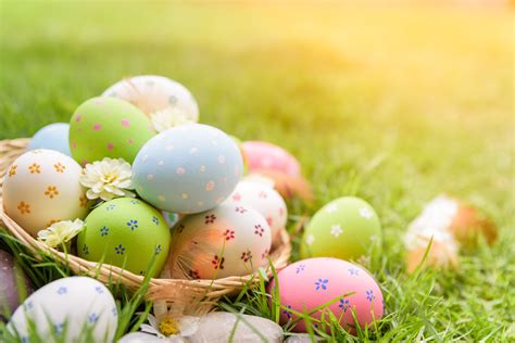 240 Easter Egg Hd Wallpapers And Backgrounds