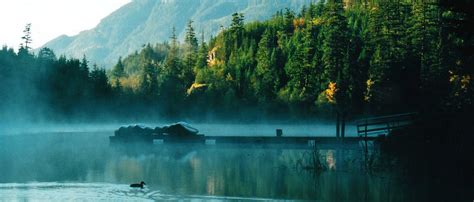 Misty Lake Lake Natural Landmarks Summer Camp