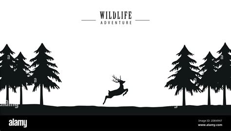 Wildlife Adventure Deer In Forest Vector Illustration Eps10 Stock