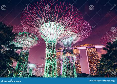 Singapore Singapore March 2019 Supertrees Illuminated For Light