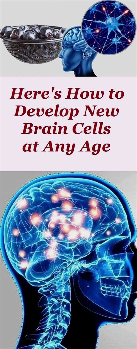 Heres How To Develop New Brain Cells At Any Age In 2020