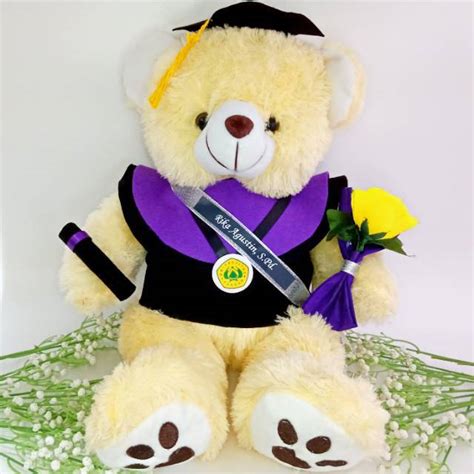 Jual Boneka Wisuda Teddy Bear Besar 50cm Teddy Bear Wisuda Buket