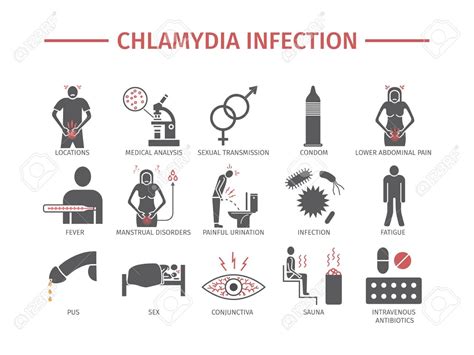 Chlamydia Infection Flat Icon Exploring Microbial Diseases