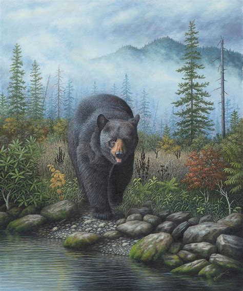 Smoky Mountain Black Bear Painting By Robert Wavra Pixels