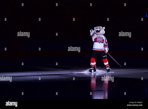 Boomer The Alaska Aces Mascot Greets The Crowd Nov 12 2016 At The